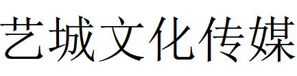 （湖南）永州 藝城文化傳媒